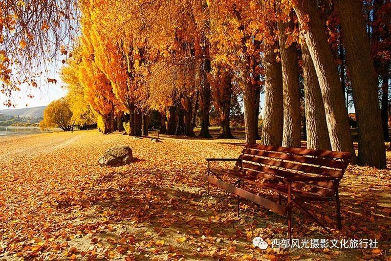 碧桂园已经或正在转让多项重大资产 市场解读:正在加速回笼资金,缓解现金流压力