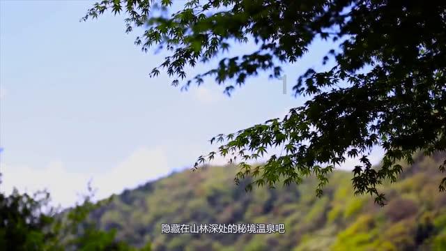 消灭红球大作战